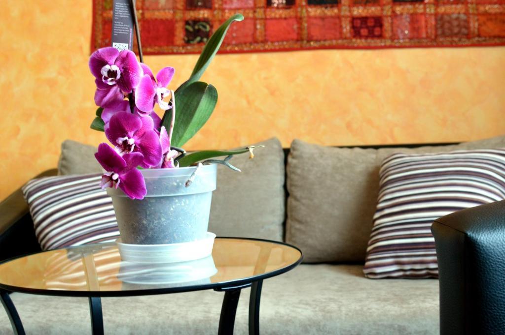 Flamingo Vendeghaz Bed and Breakfast Έγκερ Εξωτερικό φωτογραφία
