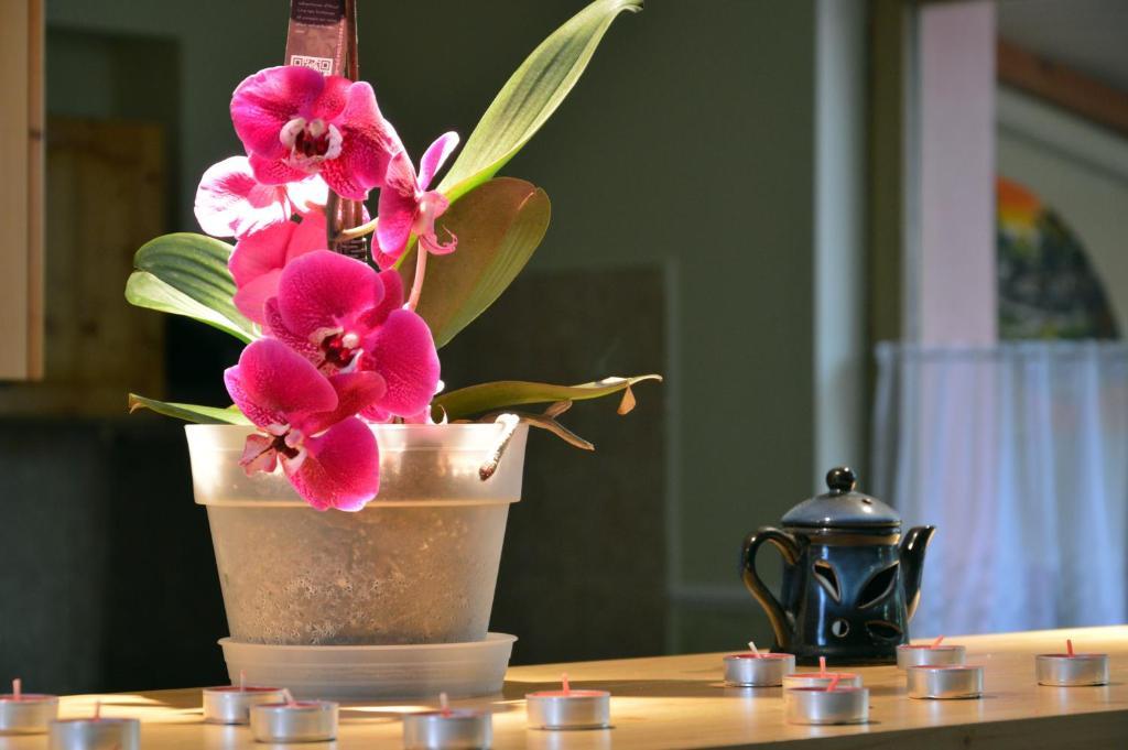 Flamingo Vendeghaz Bed and Breakfast Έγκερ Εξωτερικό φωτογραφία